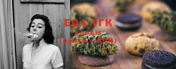 мдпв Рославль