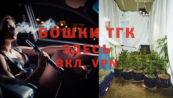 ешки Арсеньев