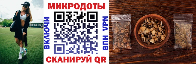 Псилоцибиновые грибы мицелий  купить наркотики сайты  Россошь 