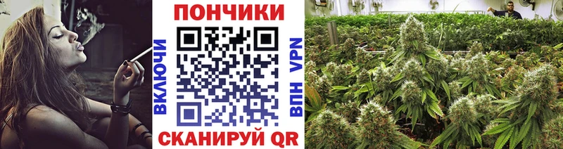 Бошки Шишки конопля  закладка  Россошь 